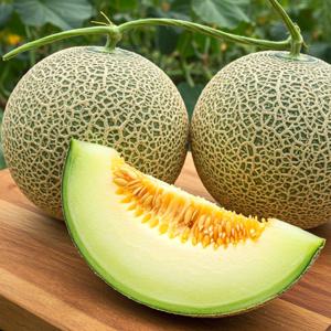 곡성 메론 2입 (총 3.2kg 이상)