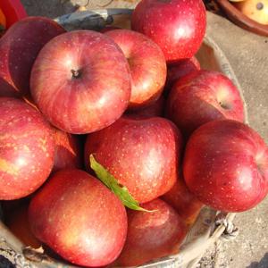 안동 경북 부사사과 사이즈별 2kg 4kg