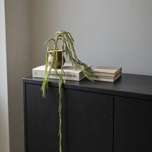 립살리스 패러독스 조화 식물 화분 테이블 선반 소품