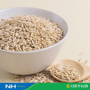 충주씨샵_달래강청정 귀리(1kg)