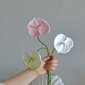 파스텔 안스리움 조화 화병 인테리어 꽃장식-3coior