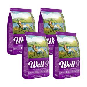 웰나인 올라이프 캣 1kg X 4개 (소분포장)