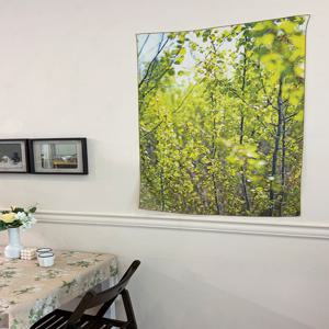 써니트리 / 대형 쉬폰 패브릭 포스터 70x100cm / 3 SIZE