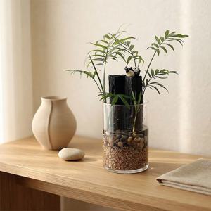 판다 숯 수경재배 테라리움 반려식물 풀멍 오브제