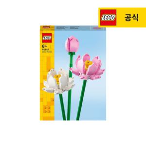 플라워 40647 연꽃