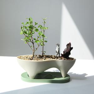 라일락나무 미어캣 루트오브제 집들이선물