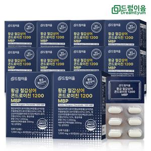 철갑상어 콘드로이친 황금 복합물 1200 MBP 6형 철갑상어연골 10개월분