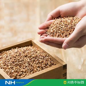 충주씨샵_달래강청정 찰수수(1kg)