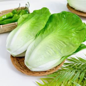 리얼 채소 모형 얼갈이배추 포기상추 인테리어 소품