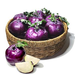 아삭하고 달달한 제주 콜라비