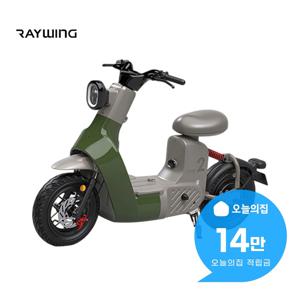 [렌탈] 타입2 전동스쿠터 TYPE 2 24A (그린) TYPE 2_GR