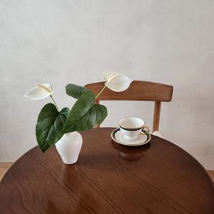 안스리움 조화 화병세트 테이블장식 홈인테리어 거실꾸미기 카페인테리어 소품 집꾸