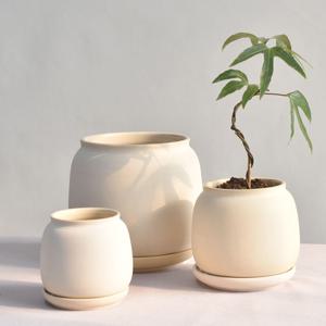 단지형 무광 도자기 화분