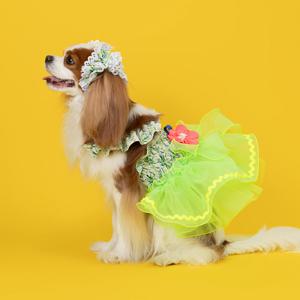 강아지 트로피칼 드레스 그린