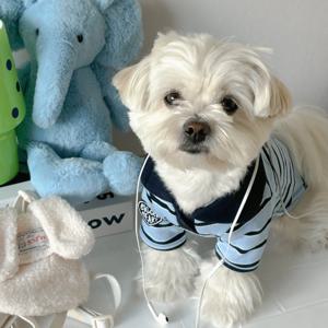 하트버디 카라 티셔츠 S-2XL