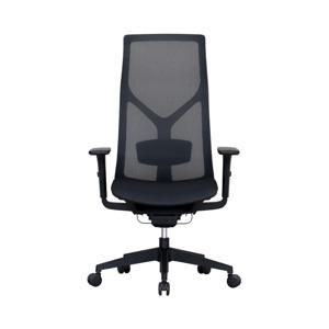 카이든 (CAIDEN) PRO 풀메쉬 하이백 컴퓨터의자