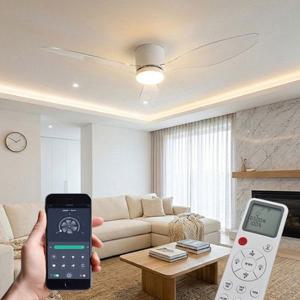 에어룩스 IoT 스마트 V2 리퀴드 투명 실링팬 BLDC 모터 저소음 저전력 리모컨포함