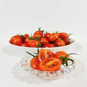 건달마토(건강하고달콤한스테비아토마토) 1kg