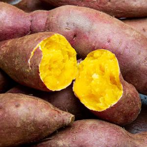 해남 꿀밤고구마 3kg / 5kg