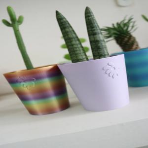 미니 화분과 식물 집들이선물 개업선물 생일선물 인테리어