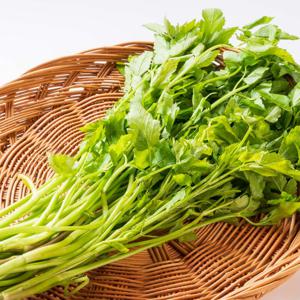 향긋한 나주 노안 미나리 500g외 1kg/2kg