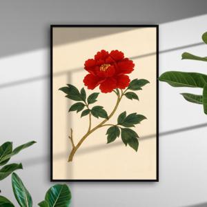 부자되는 목단꽃 모란꽃 목단 모란 그림 인테리어 꽃 일러스트 포스터 그림액자 개업선물 소품