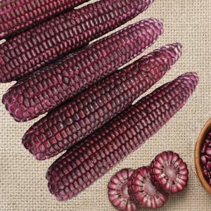 강원도 냉동 아라리찰 옥수수 5개입 2봉