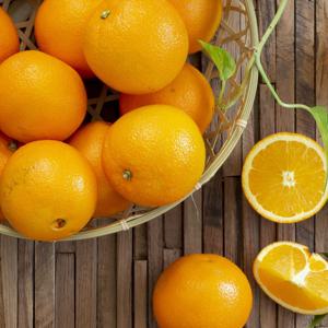 신선한 네이블 오렌지 중과 10입, 20입(개당 190g내외)