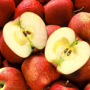 경북 부사 사과 가정용 일반 가정용 일반 중대과~대과 2.5kg(6~9과)