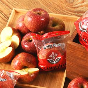 [귀차니즘필수템]씻을 필요없는 가정용 세척사과 1.5kg