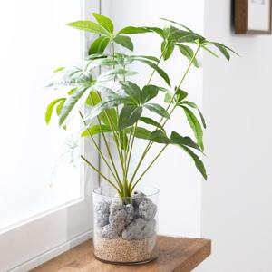 홍콩야자 조화 화병 화분 set 36x40cm (DIY) 인테리어 식물 테이블 장식