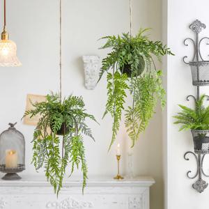 카페 행잉 인조 플랜트 볼 고사리 조화 넝쿨 생화같은 공중 식물 인테리어 화분