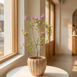 미스김라일락 보라빛 라일락 개업 이사 승진 축하화분