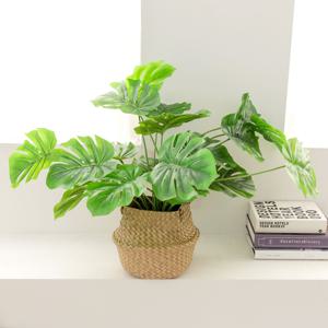 몬스테라 프리미엄 조화 나무+라탄 해초바구니 세트