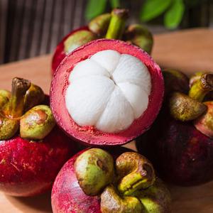 항공직수입! 생 망고스틴 500g(5-7과) 외 1kg