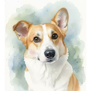 반려동물 수채화 초상화 강아지 고양이 그림 일러스트 액자 주문제작