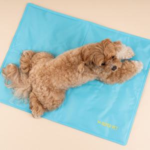 강아지 쿨매트 고양이 애견 젤쿨매트 여름 냉감 쿨링방석 (DG426)