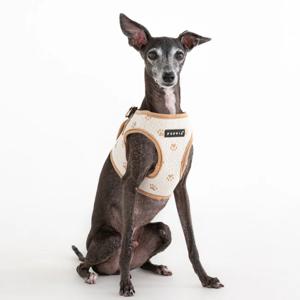 포프린트 하네스 B_HB2315_XL