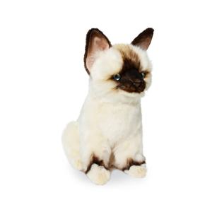 8230 랙돌아기고양이 동물인형/26cm.L