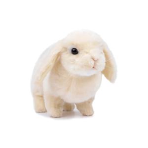 7024 롭이어 토끼 동물인형/20cm.H