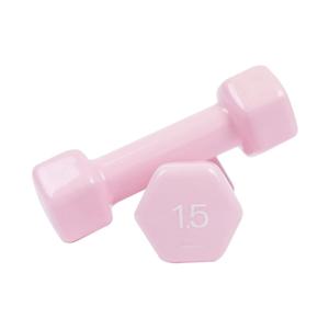 PVC 뷰티 육각 덤벨 1.5kg 파스텔핑크 예쁜 여자 아령 헬스 홈트