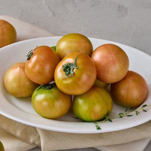 한달만 먹을 수 있는 부산 대저토마토 2.5kg