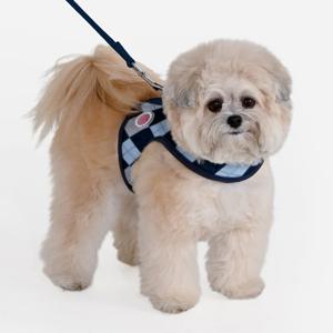 핑카홀릭 솔렌느 베스트 하네스 B_HB7917_S/M/L