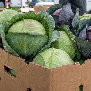 샐러드부터 찜까지, 버릴 것 없이 꽉 찬 대용량 만능 양배추 수량별 선택