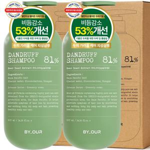 바이아우어 맥주효모 81만PPM 비듬 지성 탈모완화 샴푸, 1.017L 2개