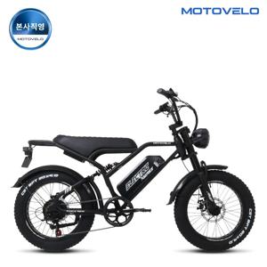 FN10 전기자전거 850W 48V 10/20Ah 자토바이