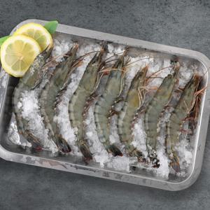 블랙타이거새우 500g 냉동 10미 캠핑 새우소금구이