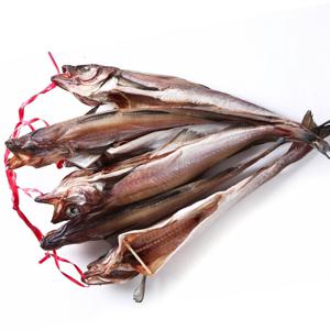 손질 반건조 코다리 절단코다리