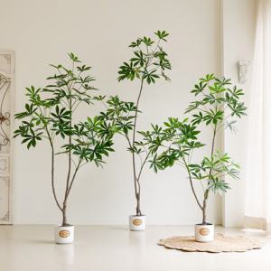 쉐프렐라 홍콩야자 파키라 인테리어 인조목 조화 나무 화분 카페 거실 조경