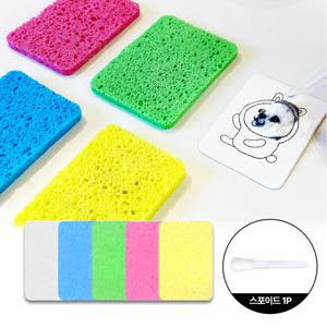 압축 셀룰로오스 수세미 5개 + 스포이드 세트 3D 입체 DIY 미술 도구 놀이